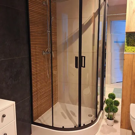 Loft Polana Szaflarska Apartment Nowy Targ
