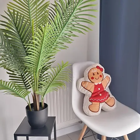 Loft Polana Szaflarska Appartamento Nowy Targ